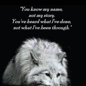 Meet your Posher, Bradley